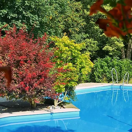 Elbe Apartment Kurort Gohrisch